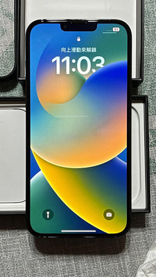 《斷捨離》 iPhone13 Pro Max 1TB 石墨色