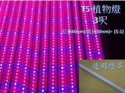 [嬌光照明]LED 植物燈 水族燈 LED日光燈管 T5 3呎 紅(660nm):藍(450nm)=5:1