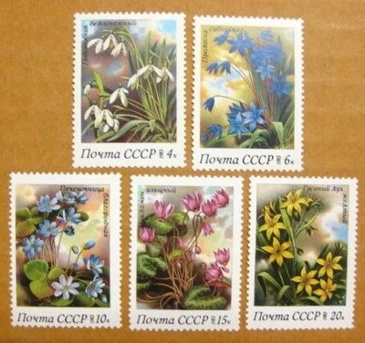 (5 _ 5)~前蘇聯新郵票---花卉-雪蓮花-冰花---1983年--- 5 全---動植物專題