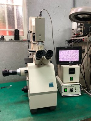 Zeiss AxioVert 10 Inverted Microscope 倒置式螢光相位差顯微鏡
