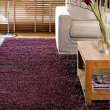 【范登伯格】嘉年華19紫-160x240cm自然簡單毛高達3cm現代時尚進口地毯.出清價7990元含運m