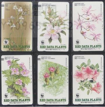 日本電話卡---瀕危野生植物成套新卡 手繪植物新卡凌雲閣收藏卡