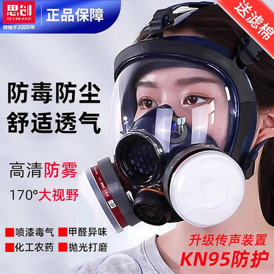 思創防毒面具全面罩實驗室一氧化碳油漆工噴漆專用防甲醛全臉面罩