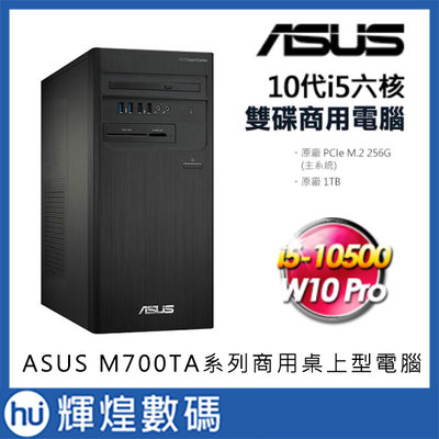 華碩 ASUS M700TA 10代i5-10500/8G/1TB+256G SSD Win10 Pro 雙碟商用電腦