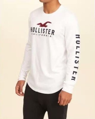 Hollister HCO 海鷗 長袖T恤 車繡貼布logo 白色