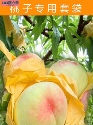 桃子專用套袋橙子油桃毛桃黃桃套袋透氣水果套袋果袋水蜜桃袋防蟲~CICI隨心購
