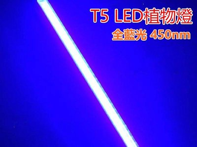 ♥遠見LED♥LED水草燈 T5 2尺 10W 全藍光 450nm 單燈管 LED水族燈 LED植物燈 燈管 高雄LED