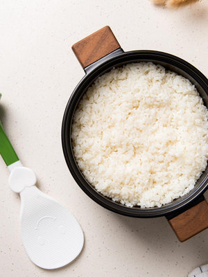 [新到加SKU]日本 TIGERCROWN 不倒翁飯勺 站立式米飯勺