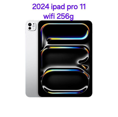 WiFi版 2024 Apple iPad Pro 11吋 256G