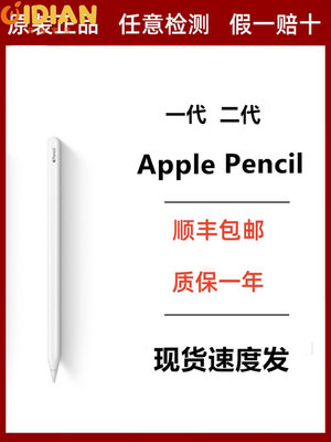 Apple/蘋果Apple Pencil1代2原裝正品手寫筆iPad平板Pro一二代Air-奇點家居