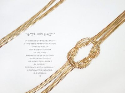年終出清特價~韓國製時尚大牌歐美款簡約雙層金色金屬長版項鍊