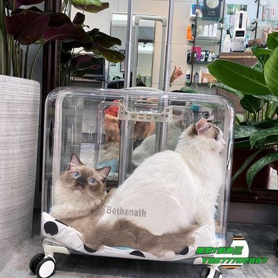 【熱賣精選】貓包大容量泡泡箱貓包拉桿箱貓咪外出便攜透明寵物狗行李箱透氣太空艙