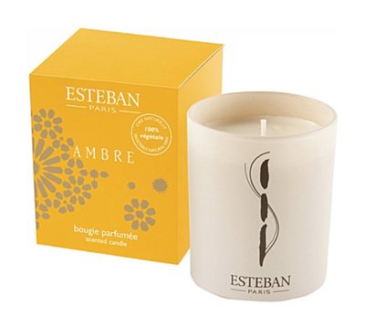 法國 ESTEBAN Ambre scented candl 香氛蠟燭 170g（預購）