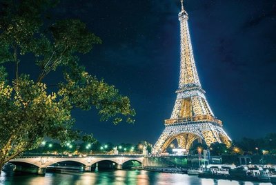 拼圖家-木質拼圖1000片-巴黎鐵塔夜景1