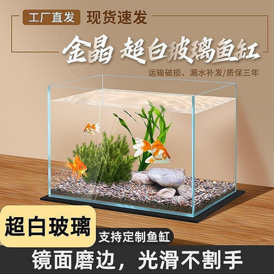 【現貨】超白魚缸客廳辦公室桌面斗魚雷龍烏龜缸生態造景缸魚缸