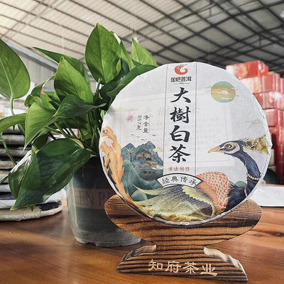 【國艷】[大樹白茶]-2021年-普洱白茶-古法制作經典傳承-357克餅