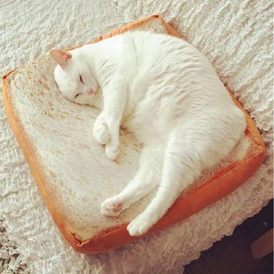 貓咪土司切片面包坐墊動漫周邊大號吐司寵物專用墊子抱枕-萬物起源