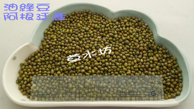 草水坊、油綠豆(阿根廷) 30公斤1480元