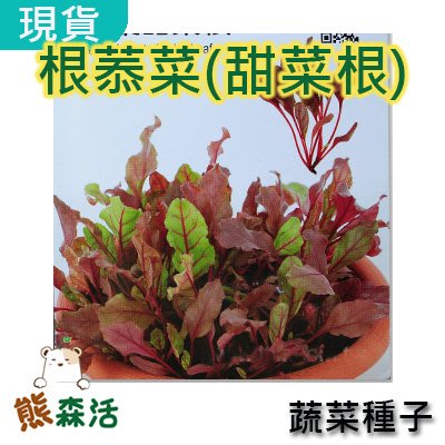 ～全館滿790免運～紅葉甜菜根種子～約450粒 貝比生菜 Redleaf Beet/Baby Leaf 【熊森活】