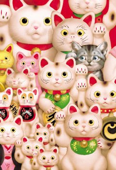 日本正版拼圖 Makoto 村松誠 貓 CAT 300片絕版拼圖，26-044