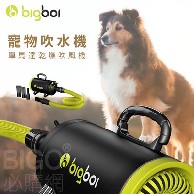 bigboi MINI 寵物單馬達吹風機 低噪音 寵物吹水機 吹風機 汽機車可用 恆溫設計 寵物 兩段溫控 濾網可洗