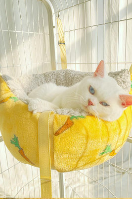 居家佳：貓吊床掛窩貓窩懸掛式貓咪秋千曬太陽神器寵物吊籃貓籠子貓床冬季