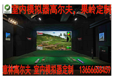高爾夫球桿 戶外運動 T-up體太福模擬器高爾夫 別墅模擬高爾
