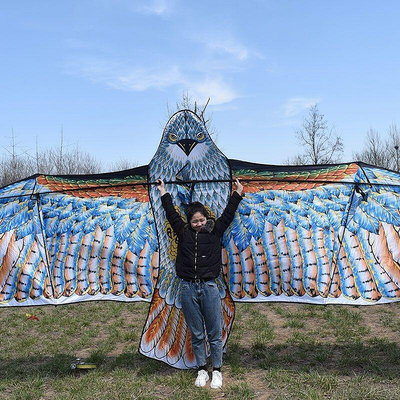 現貨：老鷹風箏大型大特大濰坊專業大型2.8米3.6米5.8米大風箏