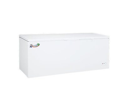 上掀式冷凍冷藏櫃 一路領鮮 6尺4 BD-600 600公升 冰櫃 展示櫃 冷凍冷藏櫃 一機兩用