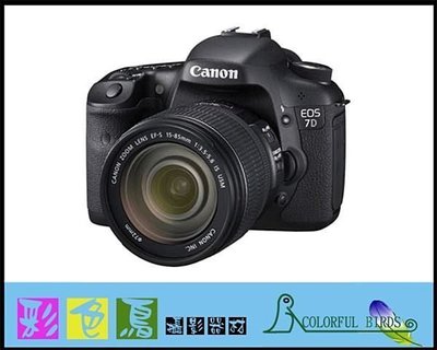 彩色鳥 (租相機 相機出租 鏡頭出租) 租 Canon 7D + Canon EF 100-400mm f4.5-5.6