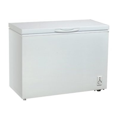 【大邁家電】HERAN 禾聯 HFZ-3062 冷凍櫃〈12/12-明年1/11出遠門不在, 無法接單, 請見諒〉