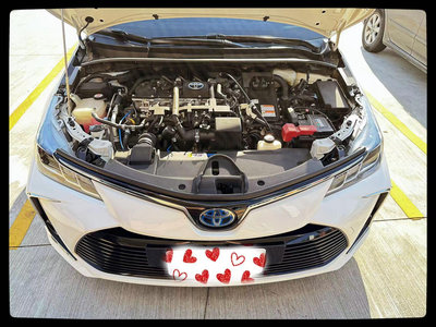 全車霸 可寫動力晶片 Toyota Altis 油電 Cross Alphard Sienna Camry RAV4 Prius PHEV