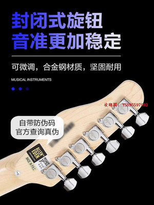 凌瑯閣-入門樂手101 Tagima塔吉瑪電吉他TG510 530 T635成人專業級初學者滿300出貨