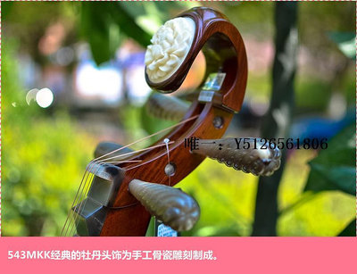 琵琶琴專賣店正品直供 敦煌琵琶543MKK金牌級珍藏級一級白牛角相軫琵琶樂器