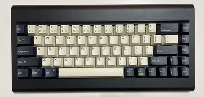 Vortex PC66 68鍵三模無線熱插拔機械式鍵盤-黑色英文佳達隆G Pro銀軸