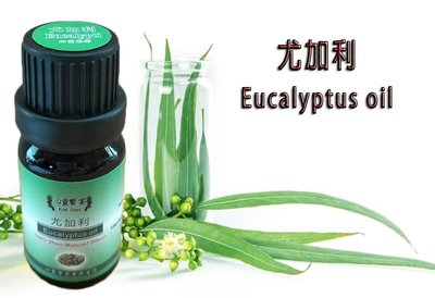 100%純尤加利精油(桉樹)Eucalyptus oil 10ml