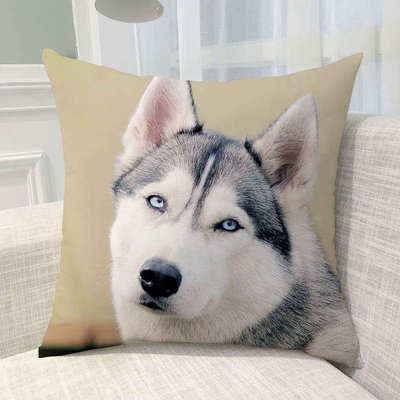 「預購」哈士奇可愛抱枕定制來圖訂做寵物枕頭個性沙發靠墊創意禮品哈士奇 可來圖客製 男女朋友日禮物bz0873