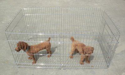 寵物電鍍圍欄 狗柵欄 可折疊的寵物圍欄 中小型犬專用圍欄 6片8片@陽光店
