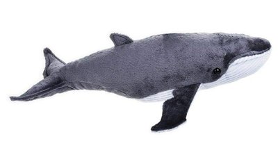 11720c 日本進口  好品質 限量品 可愛呆萌 座頭鯨魚大魚海洋動物毛絨毛娃娃玩具玩偶收藏品擺件禮品