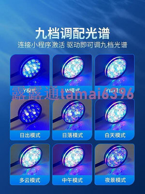 【現貨】升級深海UV海缸燈珊瑚專用全光譜led防水魚缸海水缸水草夾燈