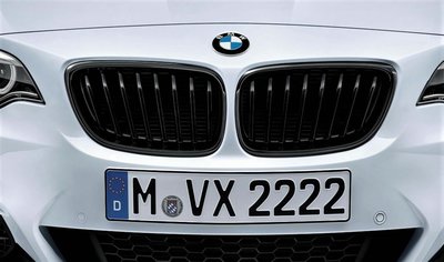 【歐德精品】德國原廠BMW F22 M PERFORMANCE 高光黑水箱護罩 黑水箱罩 黑鼻頭 218 220 235