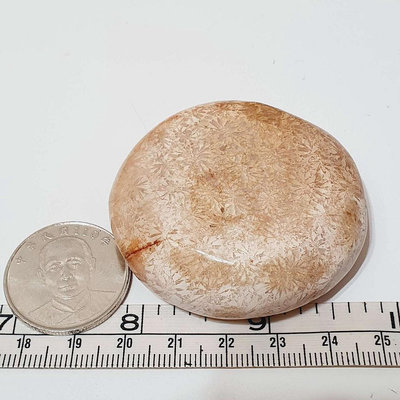 珊瑚玉 71.5g 原礦 拋光 原石 礦石 M15Z 擺件 收藏 冥想石 手把件