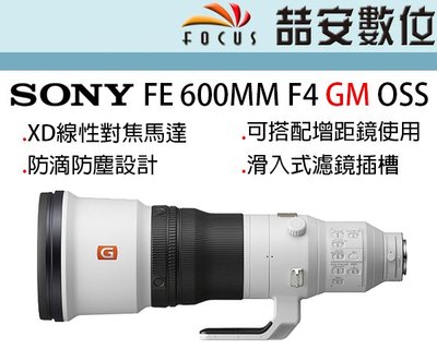 《喆安數位》SONY FE 600MM F4 GM OSS 同級最輕巧 快速對焦 絕佳畫質 全新 平輸 店保一年 #3