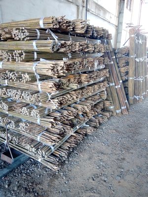 農業竹子，農業竹竿，農業竹材，永久竹竿，錏管，每把350元，長度234公分，自取無寄送