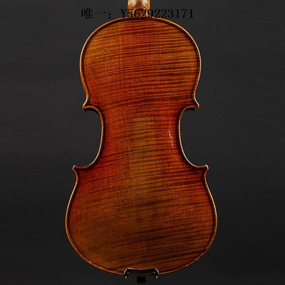 小提琴克莉絲蒂娜S200D專業考級兒童成人演奏級手工實木進口歐料小提琴手拉琴
