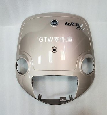 《GTW零件庫》全新 三陽 sym 原廠 WOO 100 前擋板組 前面板 金伯朗