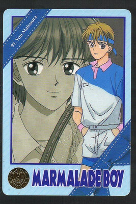 《CardTube卡族》(060930) 91 日本原裝橘子醬男孩 PP萬變卡∼ 1995年遊戲普卡