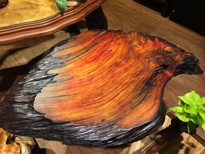 台灣國寶 台灣亞杉五彩桌板 五彩色澤有如彩色的潑墨山水畫 材質穩定 紋理優美 -織英檜木