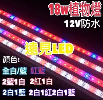 ♥遠見LED♥LED植物燈 硬燈條 防水植物燈 12V 18W 一對二 多種配色  植物補光燈 水草燈 水族燈