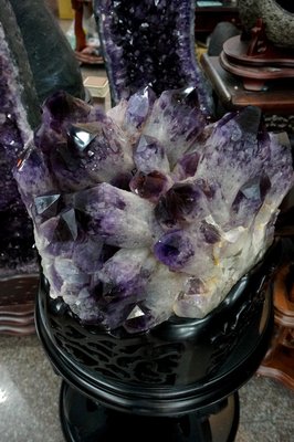 [S.D.小晶洞專賣店] 玻利維亞紫黃骨幹花,紫黃九龍骨幹,原汁原味特殊品項值得一看